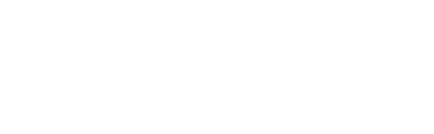 The supplied horizontal white BeefMex signature with bull mark, wordmark and product descriptor.